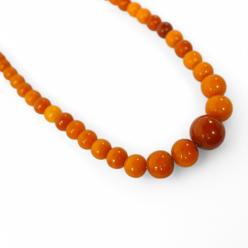 913 - An amber bead necklace, composed of graduated amber beads measuring approximately 15.7-3.6mm, length... 