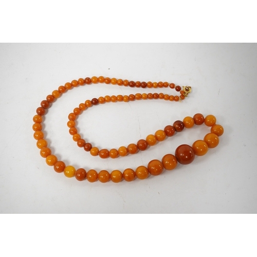 913 - An amber bead necklace, composed of graduated amber beads measuring approximately 15.7-3.6mm, length... 