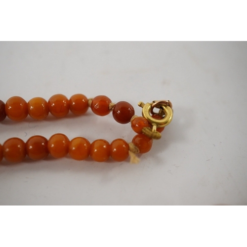 913 - An amber bead necklace, composed of graduated amber beads measuring approximately 15.7-3.6mm, length... 