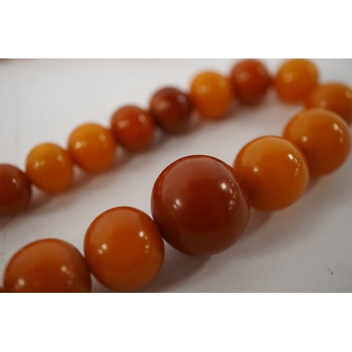 913 - An amber bead necklace, composed of graduated amber beads measuring approximately 15.7-3.6mm, length... 