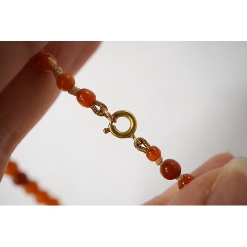 913 - An amber bead necklace, composed of graduated amber beads measuring approximately 15.7-3.6mm, length... 