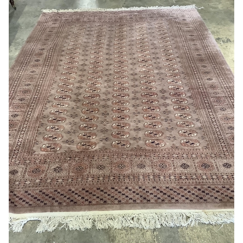 1124 - A Bokhara peach ground carpet, 320 x 215cm. Condition - poor to fair