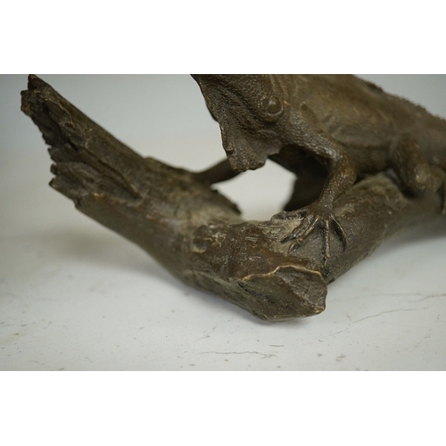 1354 - A bronze of an Iguana on a branch, 33cm long. Condition - good.