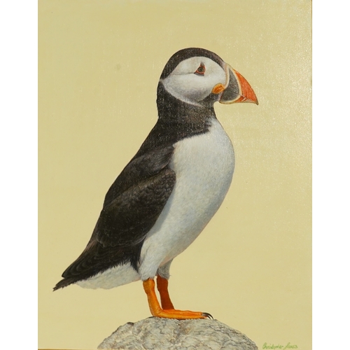 189 - Christopher James (English, Contemporary) Puffinoil on panelsigned30 x 24cm... 