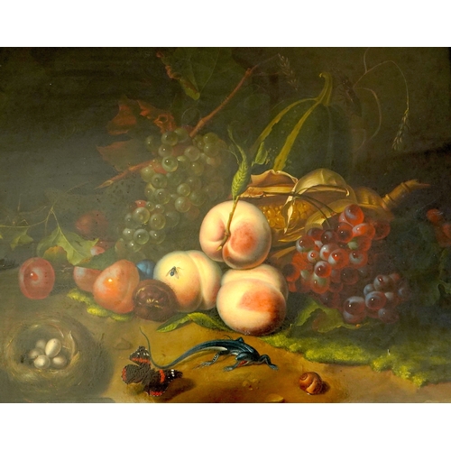 26 - Circle of Rachel Ruysch (Dutch, 1664-1750) Still life of fruit with a lizard, bird's nest and butter... 