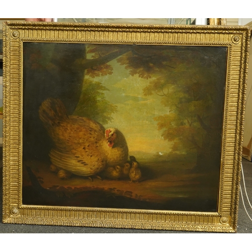 42 - Early 19th Century English School Chicken and chicks in a wooded landscapeoil on canvas62 x 75cm... 