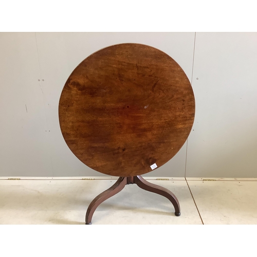 Lot 45        