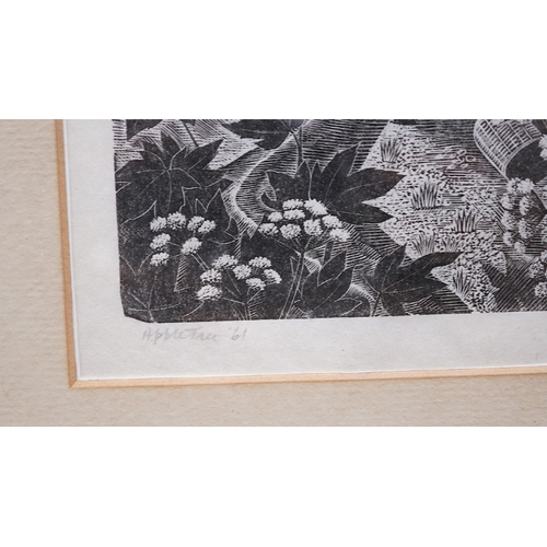 151 - § Monica Poole RE (1921-2003) 
'Apple Tree' 
1961, 
signed, dated and titled in pencil to the margin... 