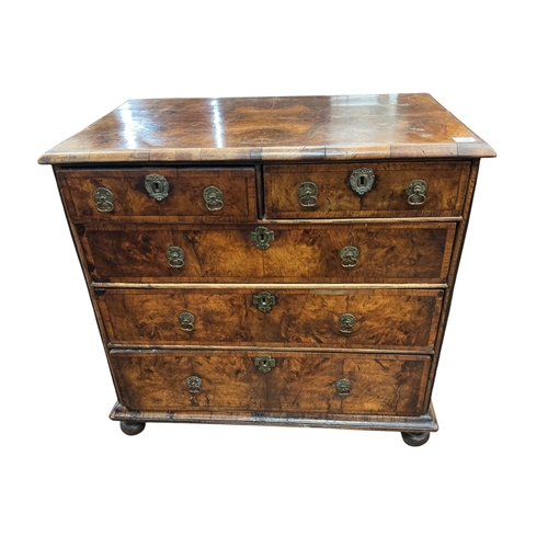 Lot 1033      