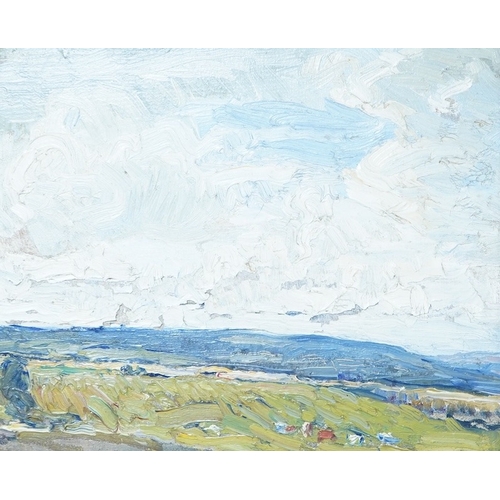 Mark Senior (1864-1927), Landscape, unsigned, label verso, impasto oil ...
