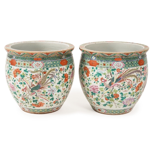 A good pair of large Chinese famille rose fish bowls, 19th century ...