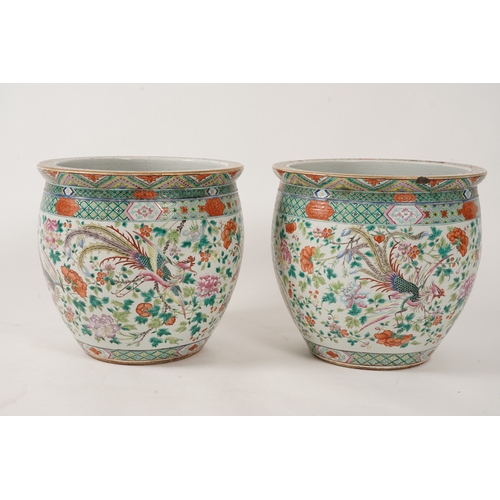A good pair of large Chinese famille rose fish bowls, 19th century ...