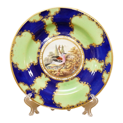 260 - An early 19th century Spode ornithological cabinet plate, hand painted with a Chaffinch, 21cm in dia... 