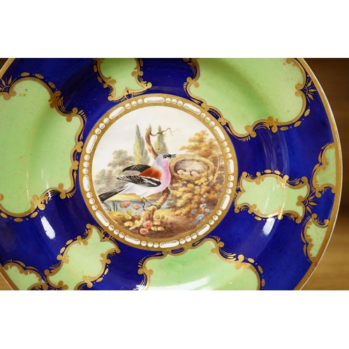 260 - An early 19th century Spode ornithological cabinet plate, hand painted with a Chaffinch, 21cm in dia... 