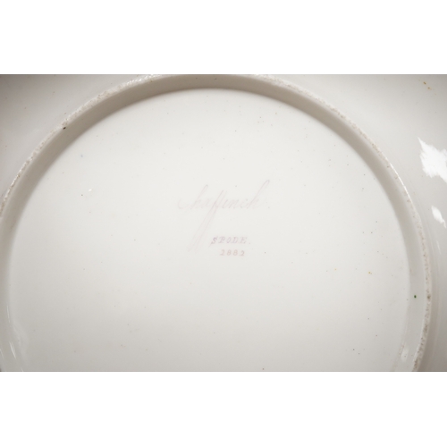 260 - An early 19th century Spode ornithological cabinet plate, hand painted with a Chaffinch, 21cm in dia... 