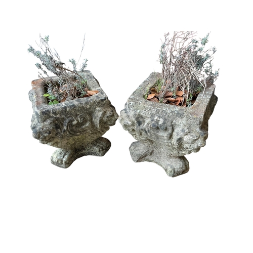 2120 - A pair of square reconstituted stone garden planters width 32cm, height 34cm.