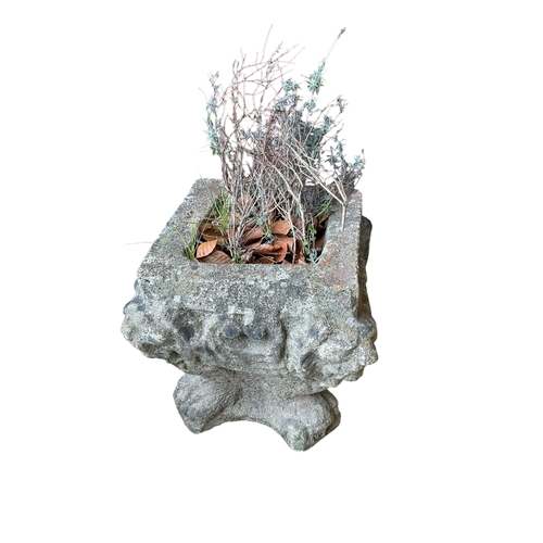 2120 - A pair of square reconstituted stone garden planters width 32cm, height 34cm.