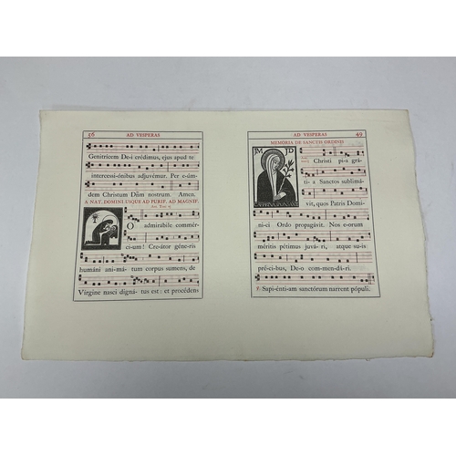 Lot 1031      