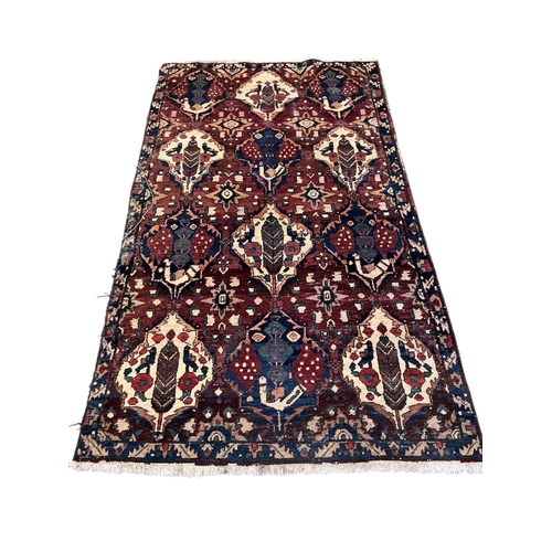 Lot 1038      