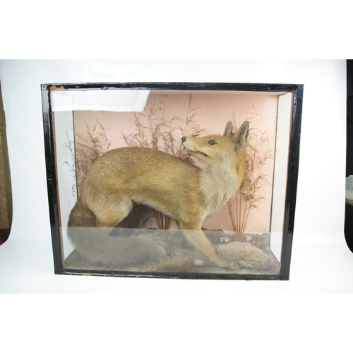 Lot 24        