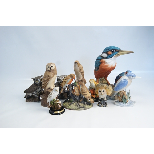 82 - A Collection of Hand-Painted Resin British Bird Figurines including Carol CraftA collection of var... 