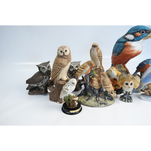 82 - A Collection of Hand-Painted Resin British Bird Figurines including Carol CraftA collection of var... 