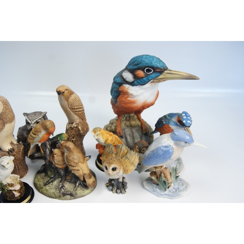 82 - A Collection of Hand-Painted Resin British Bird Figurines including Carol CraftA collection of var... 