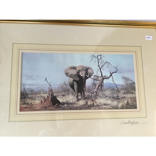 136 - After David Shepherd
Two elephant prints
Both pencil signed to slip and reverse of frame -