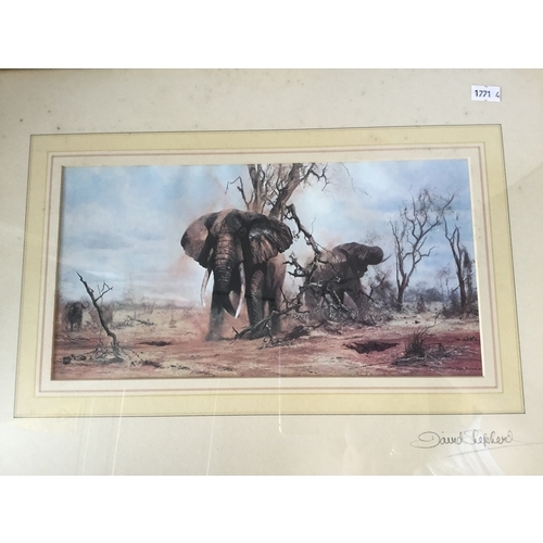 136 - After David Shepherd
Two elephant prints
Both pencil signed to slip and reverse of frame -