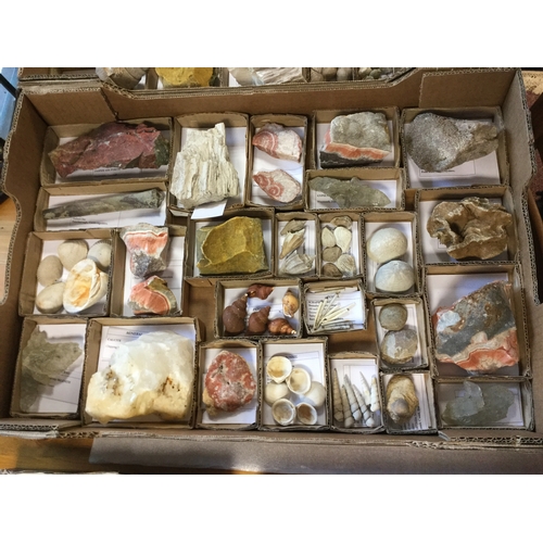 267 - A large collection of labelled British mineral
and fossil specimens (2 trays) -