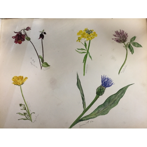 179 - An early 20th century artists sketchbook, 
containing works by Helen M Ogden, including botanical st... 