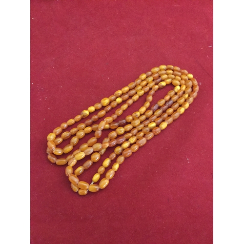 51 - A long single row amber bead necklace, 
composed of uniform beads -