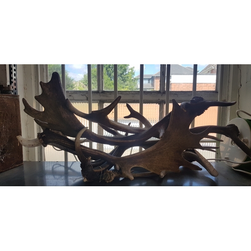 383 - A group of unmounted antlers -