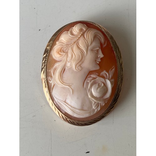 48 - A 9ct gold mounted cameo brooch, the oval shell carved with a profile of a lady -