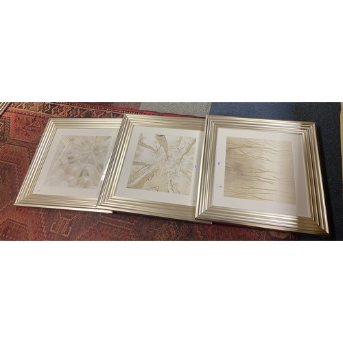 114 - A pair of large framed prints of branches, together with three modern smaller prints, each in silver... 