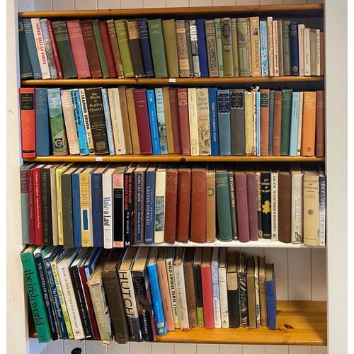 145 - Four shelves of books, general interest -