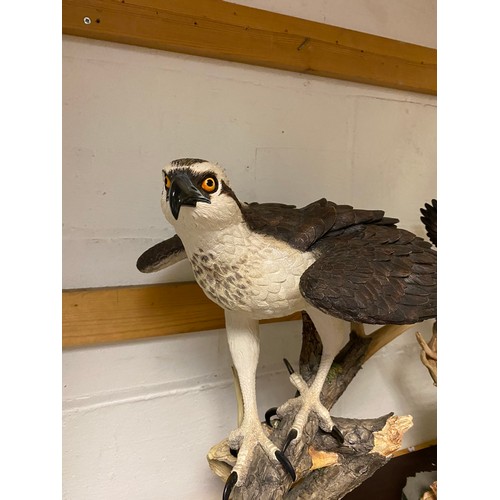 347 - A large Border Fine Arts model of 'Prince of the Loch' and another of a nesting group of Osprey (a/f... 