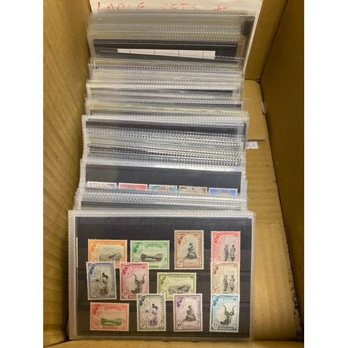 267 - Stamps: a large quantity of stamps on stock cards -