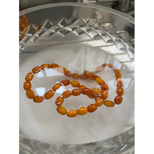 49 - A single row of graduated amber beads -