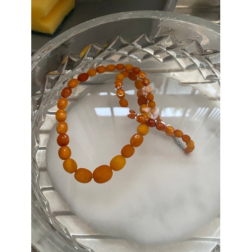 50 - A single row of graduated amber beads -