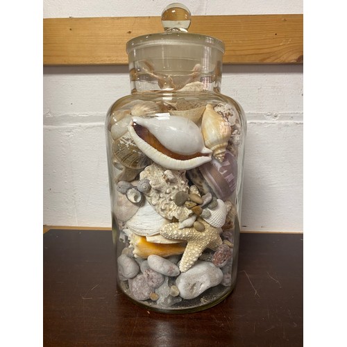 219 - A quantity of shells, in glass jar -