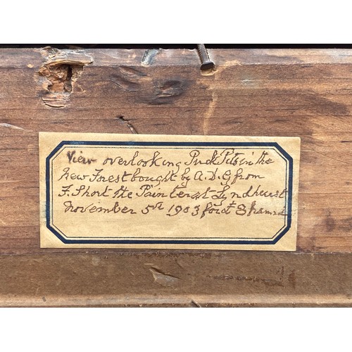 114 - Frederick Golden Short, British 1863-1936 -                  
View looking over Puck Pits in the New... 