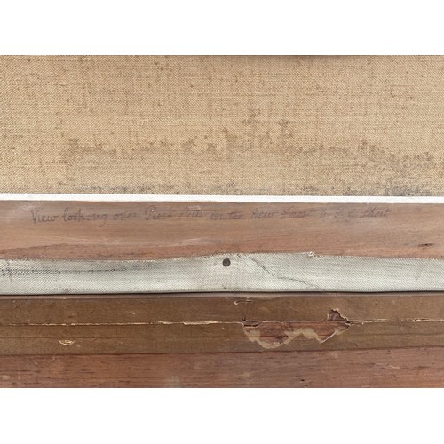 114 - Frederick Golden Short, British 1863-1936 -                  
View looking over Puck Pits in the New... 