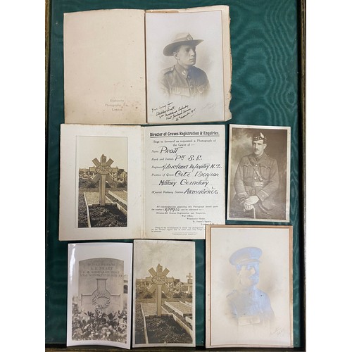 Lot 186       