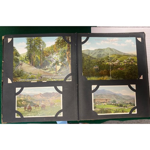 Lot 271       