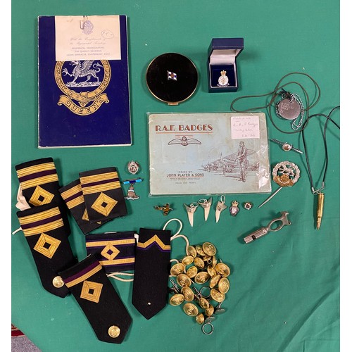 225 - Of military interest: a quantity of RAF squadron insignia plaques, epaulettes, buttons, whistle etc ... 