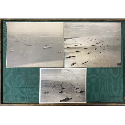 Lot 256       