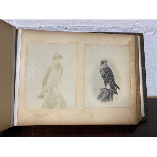 207 - A 19th century photograph album, containing African images, views of Warwick and birds -