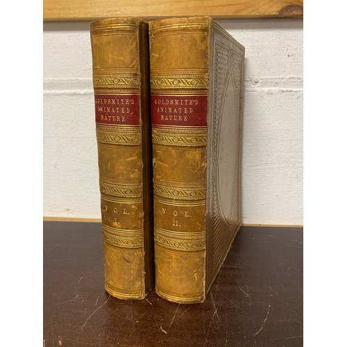 175 - Oliver Goldsmith, A History of the Earth and Animated Nature, two volumes, Blackie, 1868 -