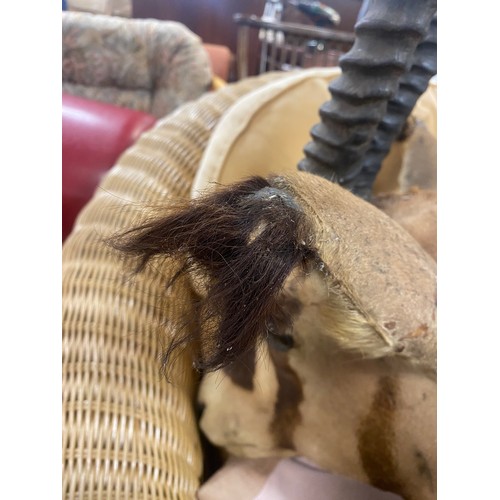 113 - Taxidermy: an early 20th century Fringe-Eared Oryx head, mounted by Edward Gerrard & Sons       
ex ... 